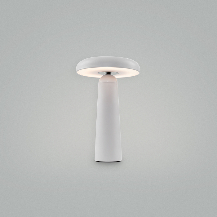 Светильник Freya FR6109TL-L4W